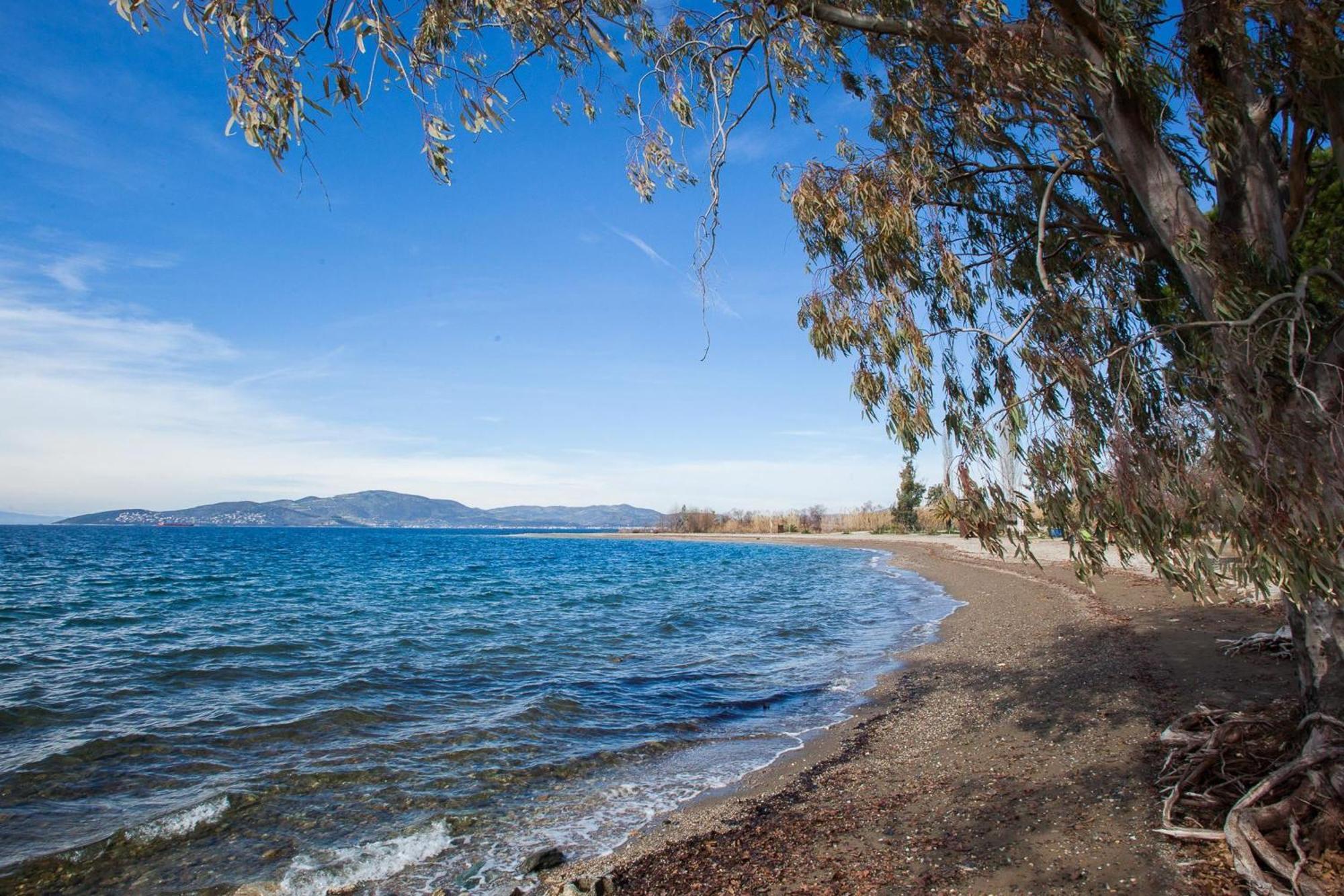 Karnagio Seafront In Agria Holiday home Kato Lekhonia